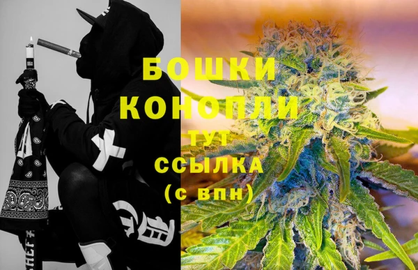 шишки Кукмор
