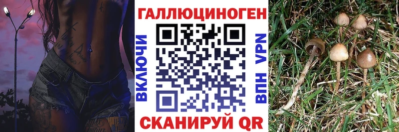 закладка  Дятьково  Галлюциногенные грибы ЛСД 